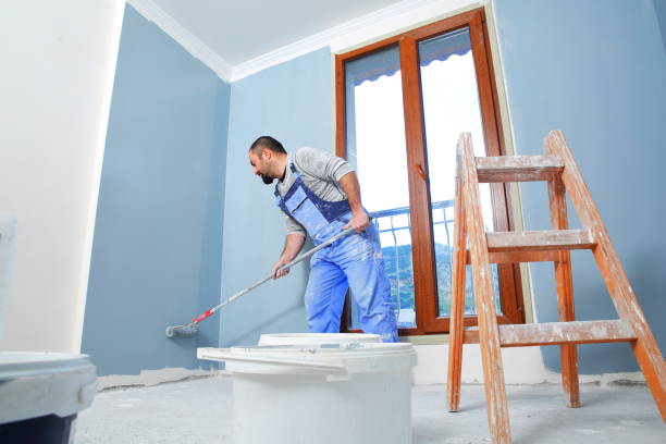 Best Black Mold Removal  in Nutter Fort, WV