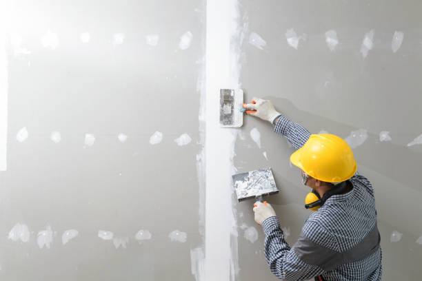 Best Basement Mold Removal  in Nutter Fort, WV