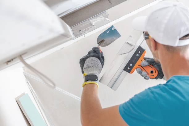  Nutter Fort, WV Mold Removal Pros
